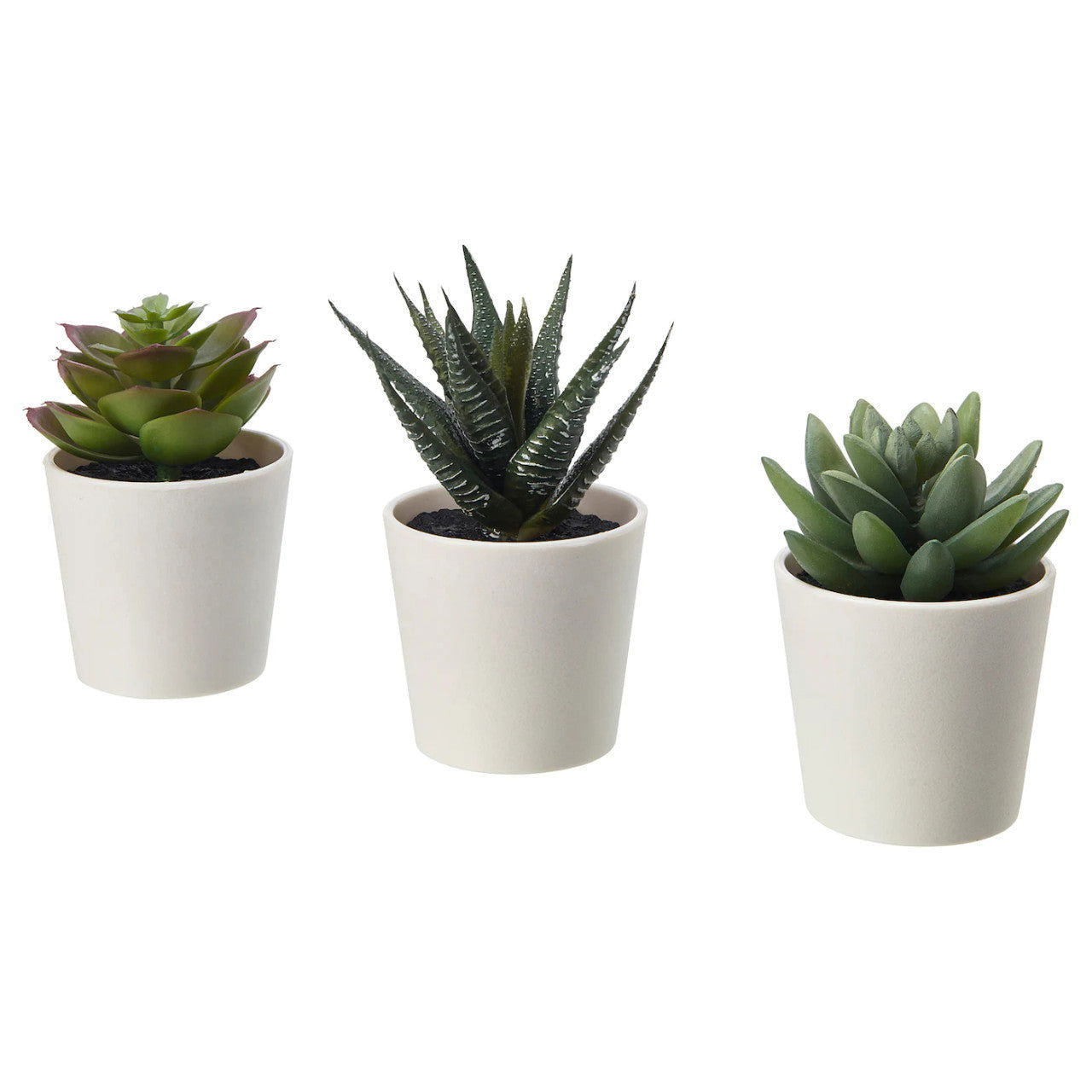 3 Pack of Artificial Succulent Potted Plants in White Plastic 6cm Pot Interior Decoration - Shhh...