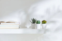 3 Pack of Artificial Succulent Potted Plants in White Plastic 6cm Pot Interior Decoration - Shhh...