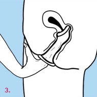 Femidom 3 Pk - Shhh...