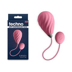 Techno Kandi - USB Rechargeable Vibrating Egg with App Control