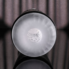 Playboy Pleasure WHIRLWIND - USB Rechargeable Thrusting and Spinning Auto Stroker