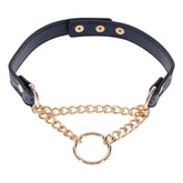 Sex & Mischief Cougar Navy & Gold Collar