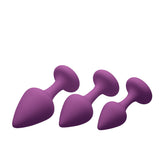 Purple Pleasures 3 Piece Silicone Anal Plugs