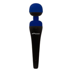PalmPower Massage Wand - Blue