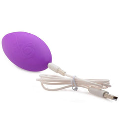 Naughty Knickers panties with silicone bullet and remote control