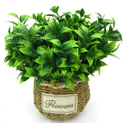 Green medium sized artificial plant 7 forks of foliage with approx. 35 leaves.