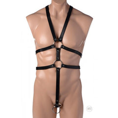 Male Full Body Harness