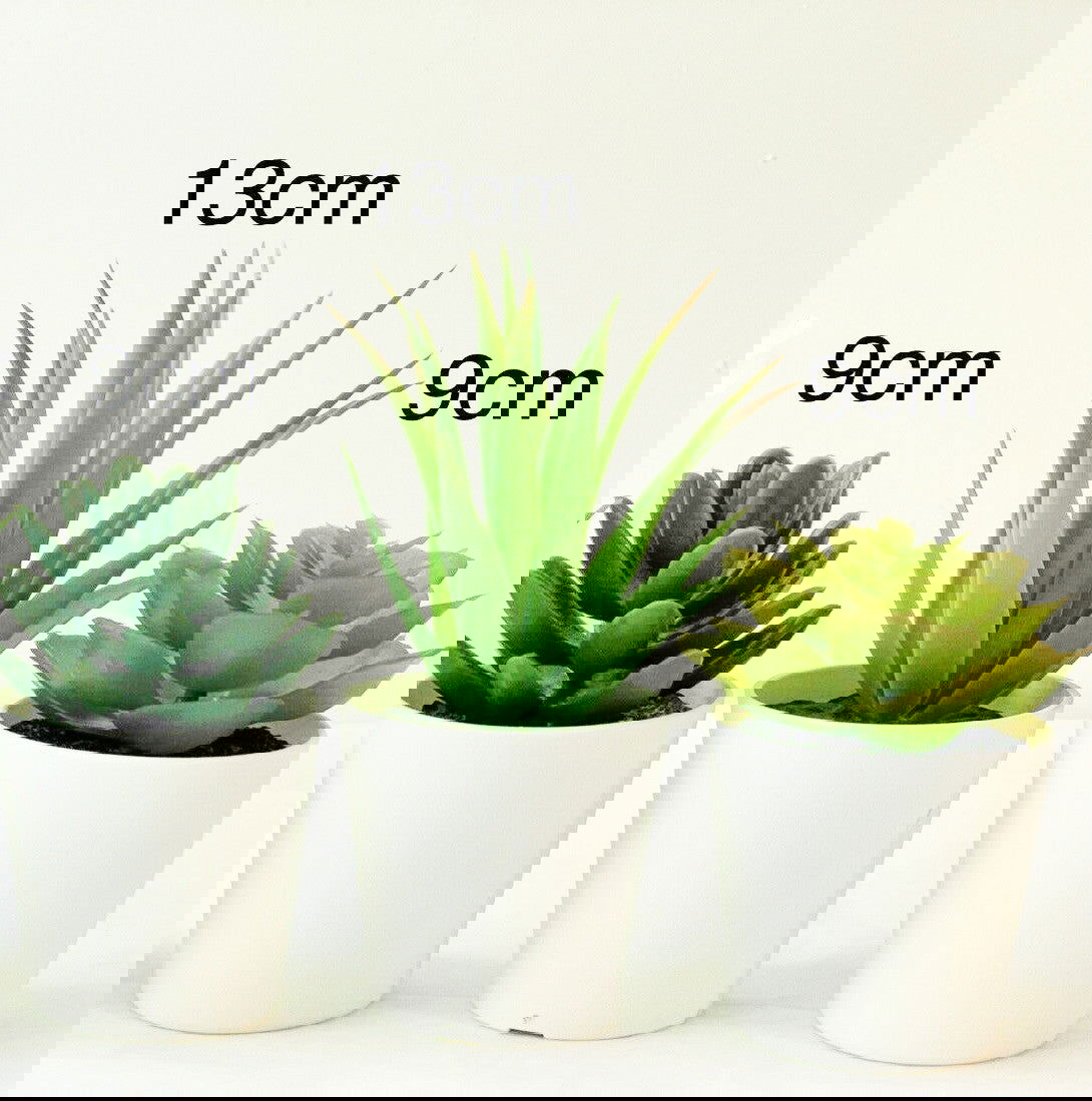 3 Pack of Artificial Succulent Potted Plants in White Plastic 6cm Pot Interior Decoration - Shhh...