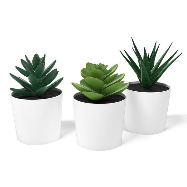 3 Pack of Artificial Succulent Potted Plants in White Plastic 6cm Pot Interior Decoration - Shhh...
