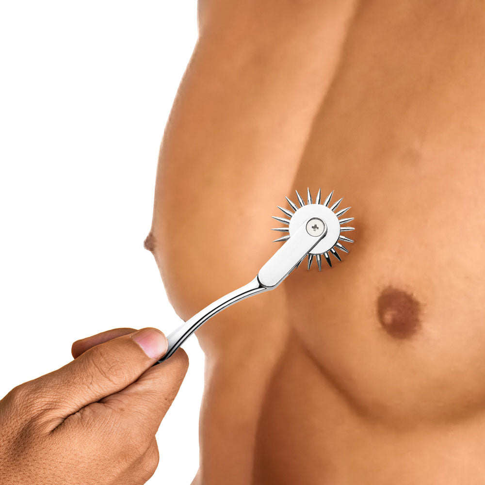 Master Series Wartenberg Sensory Pinwheel - Silver
