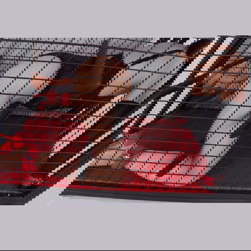 BDSM Slave Cage SC-4 by Shhh... - Shhh...