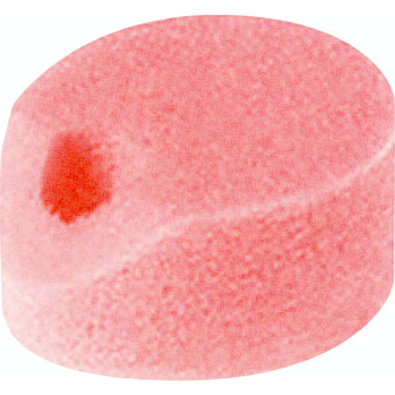 Beppy Soft+Comfort Wet 4 Pc - Shhh...