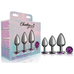 Cheeky Charms Round Metal Butt Plug Gunmetal 3 Pc Kit w Purple Jewel - Shhh...