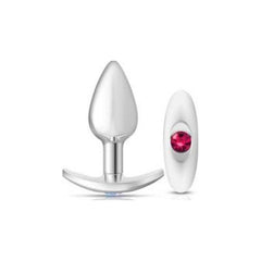 Cheeky Charms Silver Anchor Butt Plug  w Clear and Pink Jewel Kit - Shhh...