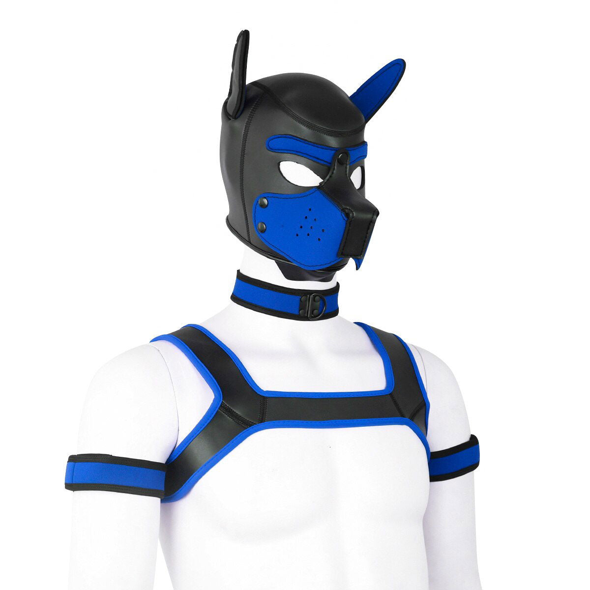 Complete Puppy Play body set costume 2 sizes and 6 colour choices - Shhh...
