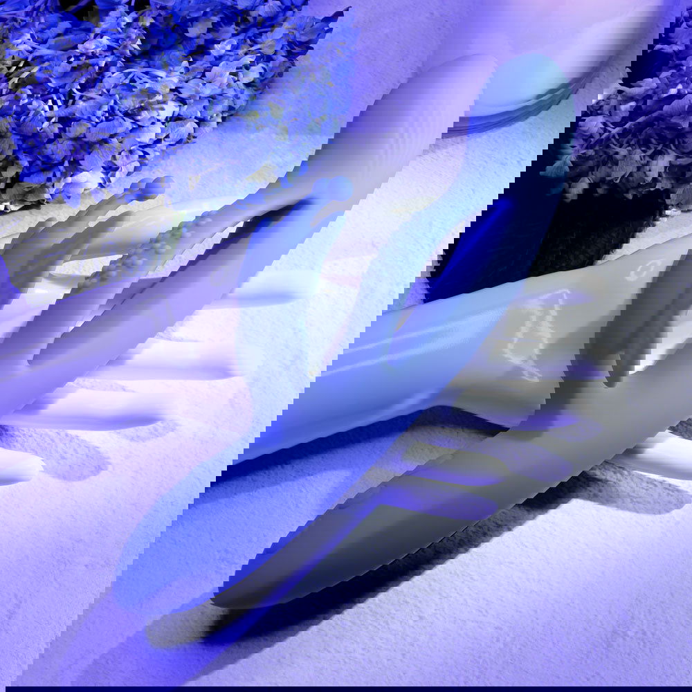 Evolved BUTTERFLY DREAMS - Shhh...