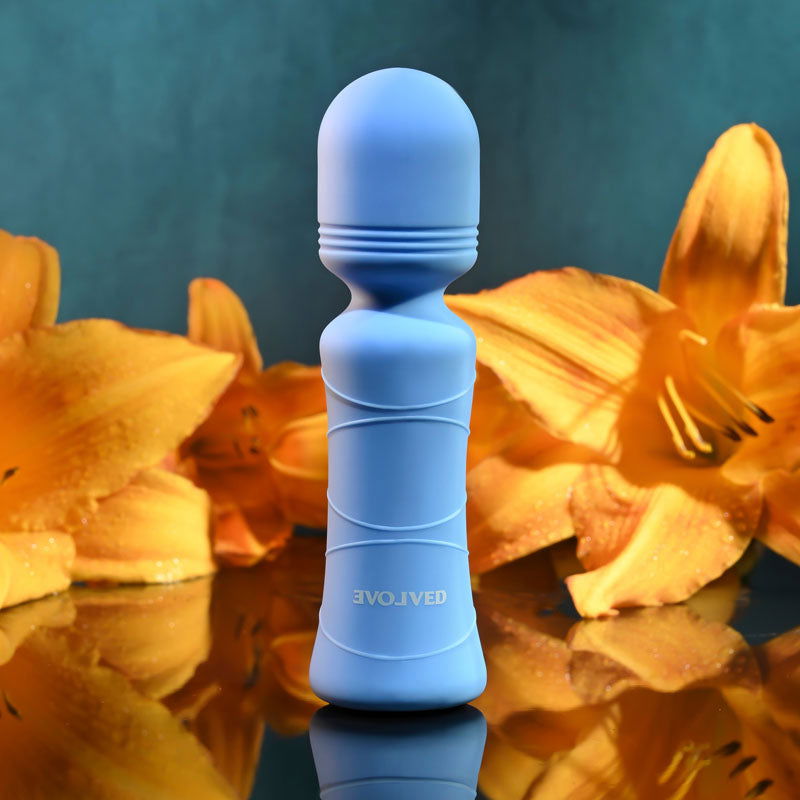 Evolved Out Of The Blue - 10.5 cm USB Rechargeable Mini Massager Wand - Shhh...