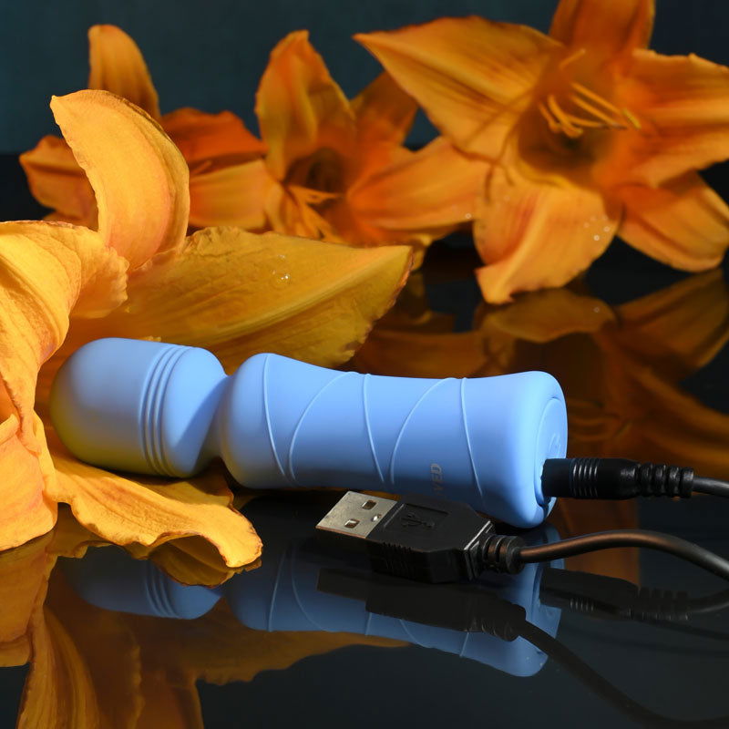 Evolved Out Of The Blue - 10.5 cm USB Rechargeable Mini Massager Wand - Shhh...