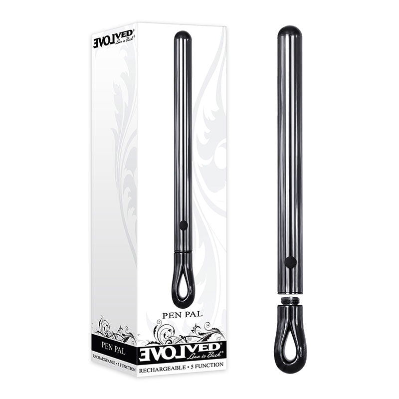 Evolved Pen Pal - Metallic 11.3 cm USB Rechargeable Vibrator - Shhh...