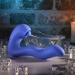 Evolved TAPPITY TAP - Shhh...