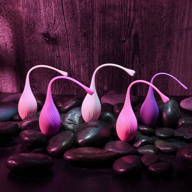 Evolved TIGHT & DELIGHT - Kegel Trainer Set - 5 Piece Kit - Shhh...