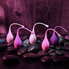 Evolved TIGHT & DELIGHT - Kegel Trainer Set - 5 Piece Kit - Shhh...