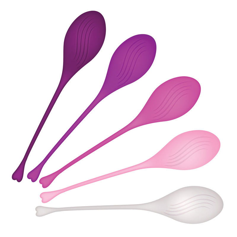 Evolved TIGHT & DELIGHT - Kegel Trainer Set - 5 Piece Kit - Shhh...