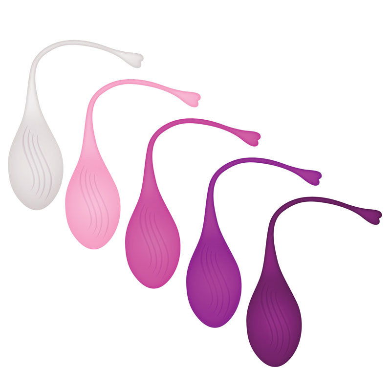 Evolved TIGHT & DELIGHT - Kegel Trainer Set - 5 Piece Kit - Shhh...