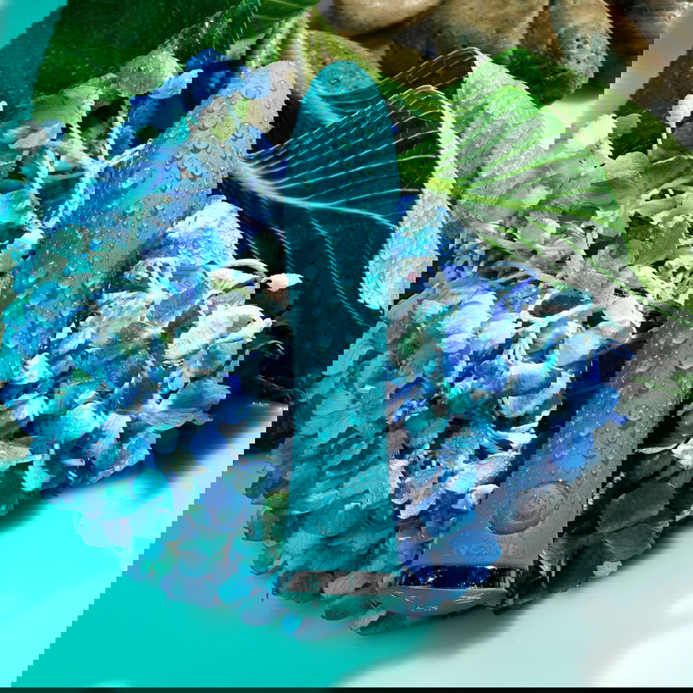 Evolved ULTRA WAVE - Shhh...