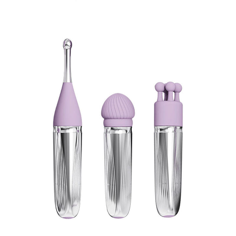 Adam & Eve SWEET DREAMS Lavender USB Rechargeable Massage Set with 8 Interchangeable Tips