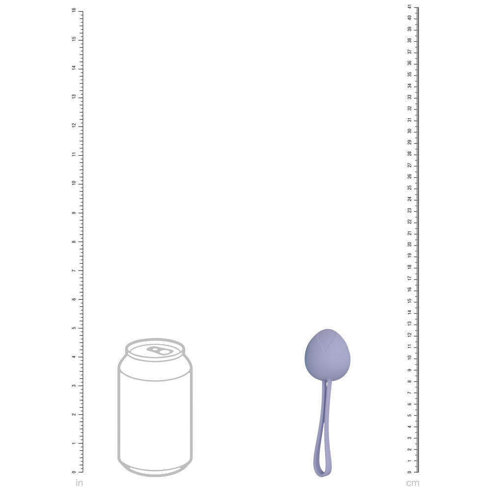 LOVELINE PelviFit Berry Kegel Balls Kit - Set of 5