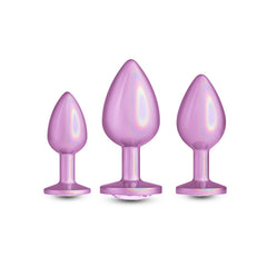 Rear Assets Trainer Kit - Iridescent  - Iridescent  Metallic Butt Plugs - Set of 3 Sizes