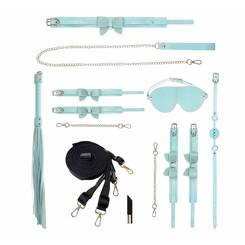 OUCH! Paris Collection BDSM Kit with Bag - Blue