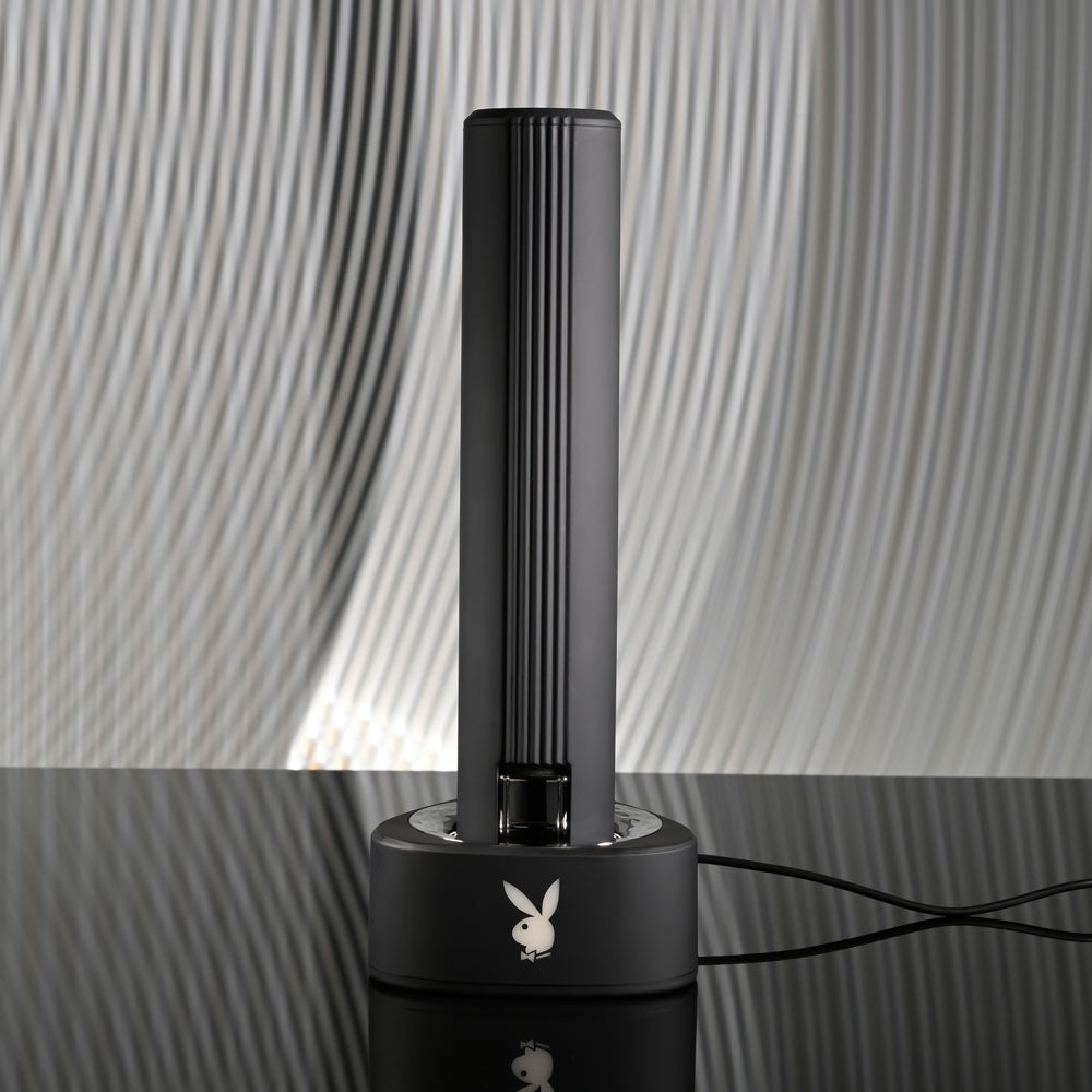 Playboy PLEASURE ZONE 21.4 cm USB-R Vibrator with Charging Dock
