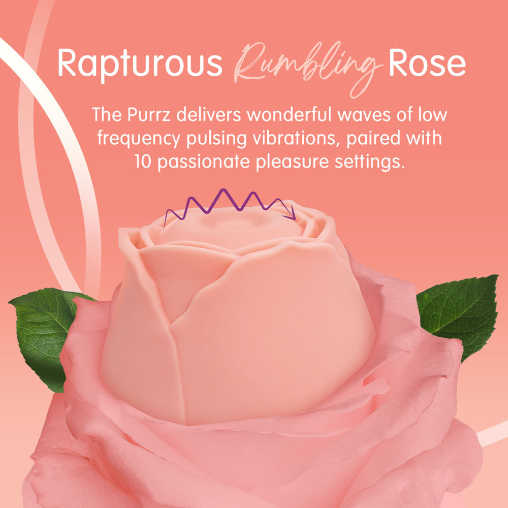 Skins Rose Buddies PURRZ Clit Stim Rose - Pink
