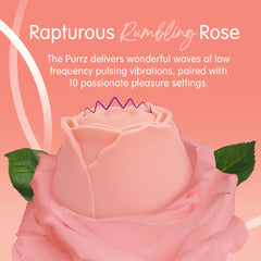 Skins Rose Buddies PURRZ Clit Stim Rose - Pink