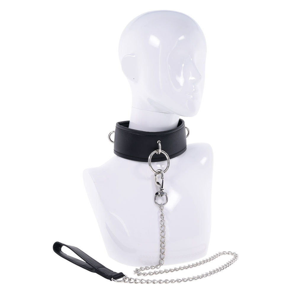 EDGE Collar & Leash -  Neck Restraint with Heavy Duty Metal Leash