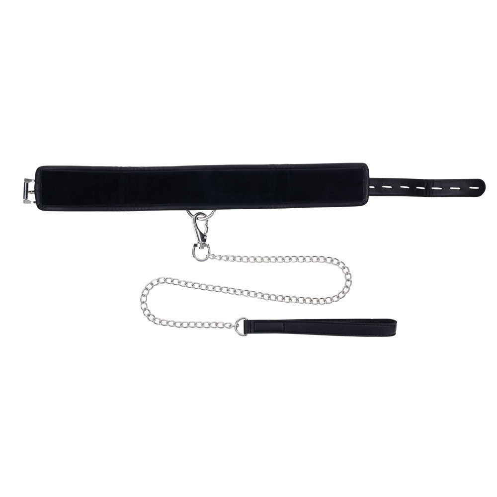 EDGE Collar & Leash -  Neck Restraint with Heavy Duty Metal Leash