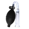 Clitoral Pumping System