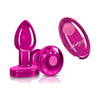 Cheeky Charms PINK Rechargeable Vibrating Metal Butt Plug w Remote Small