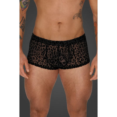 Leopard Flock Short Shorts  - 4 sizes
