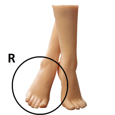 Foot fetish - female foot & shin replica size EU35.