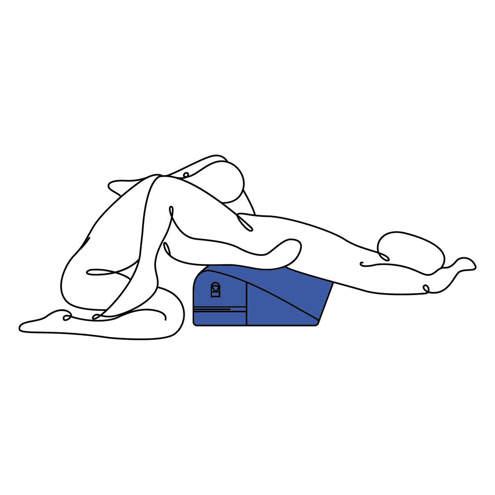 Pivot Positioner Pillow