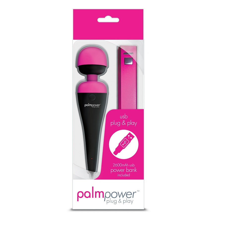 PalmPower Massage Wand Plug and Play USB