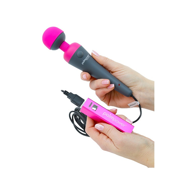 PalmPower Massage Wand Plug and Play USB