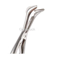 Nostril speculum stainless steel for BDSM and medical fetish