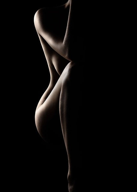 Sensual female silhouette photography reprinted on canvas V2.